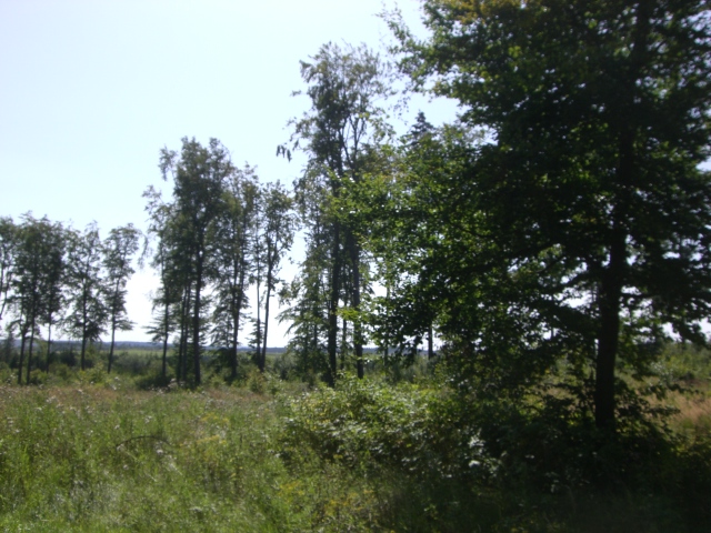 Bad Lauterberg 2009 101